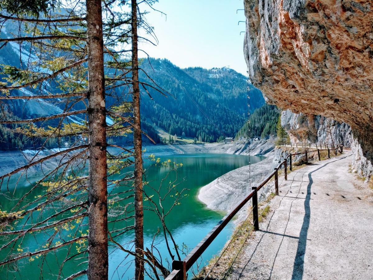 Pension Edelweiss Top 25 Гозау Экстерьер фото