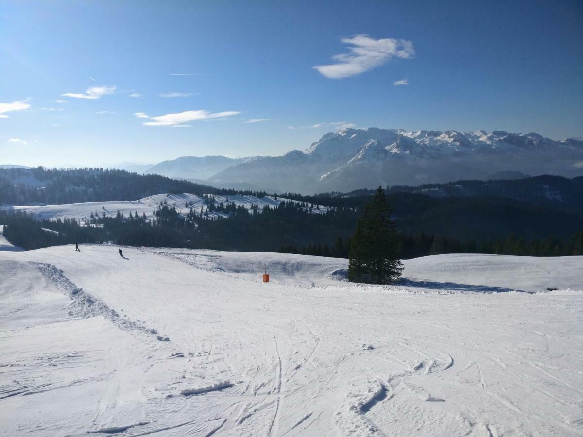 Pension Edelweiss Top 25 Гозау Экстерьер фото