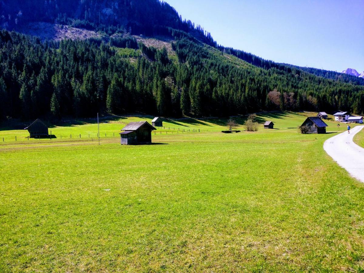 Pension Edelweiss Top 25 Гозау Экстерьер фото