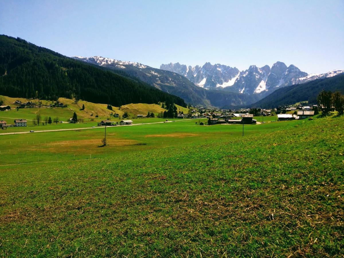 Pension Edelweiss Top 25 Гозау Экстерьер фото