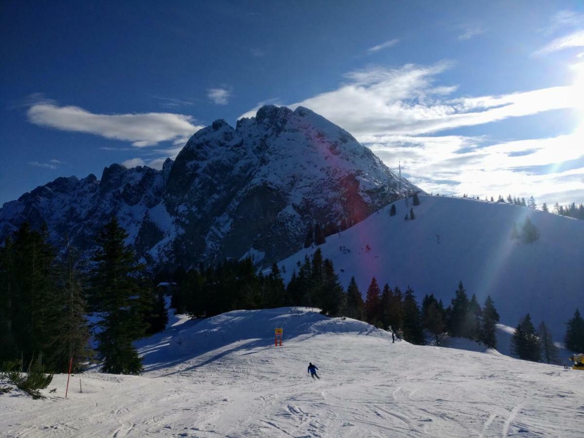 Pension Edelweiss Top 25 Гозау Экстерьер фото
