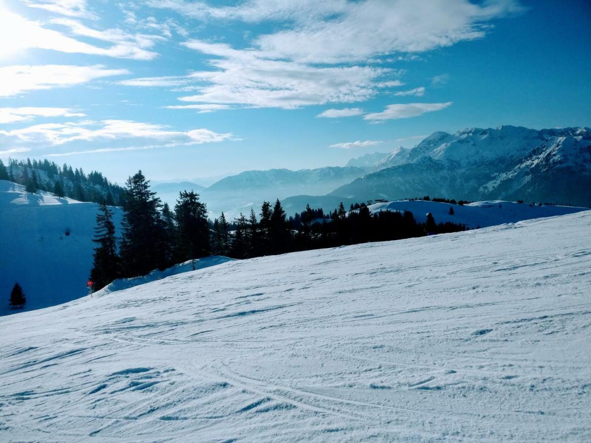 Pension Edelweiss Top 25 Гозау Экстерьер фото