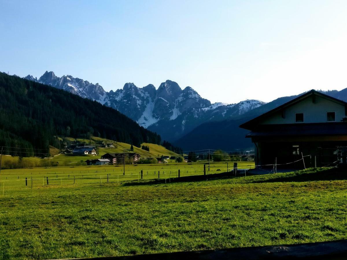 Pension Edelweiss Top 25 Гозау Экстерьер фото