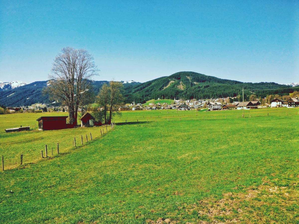 Pension Edelweiss Top 25 Гозау Экстерьер фото
