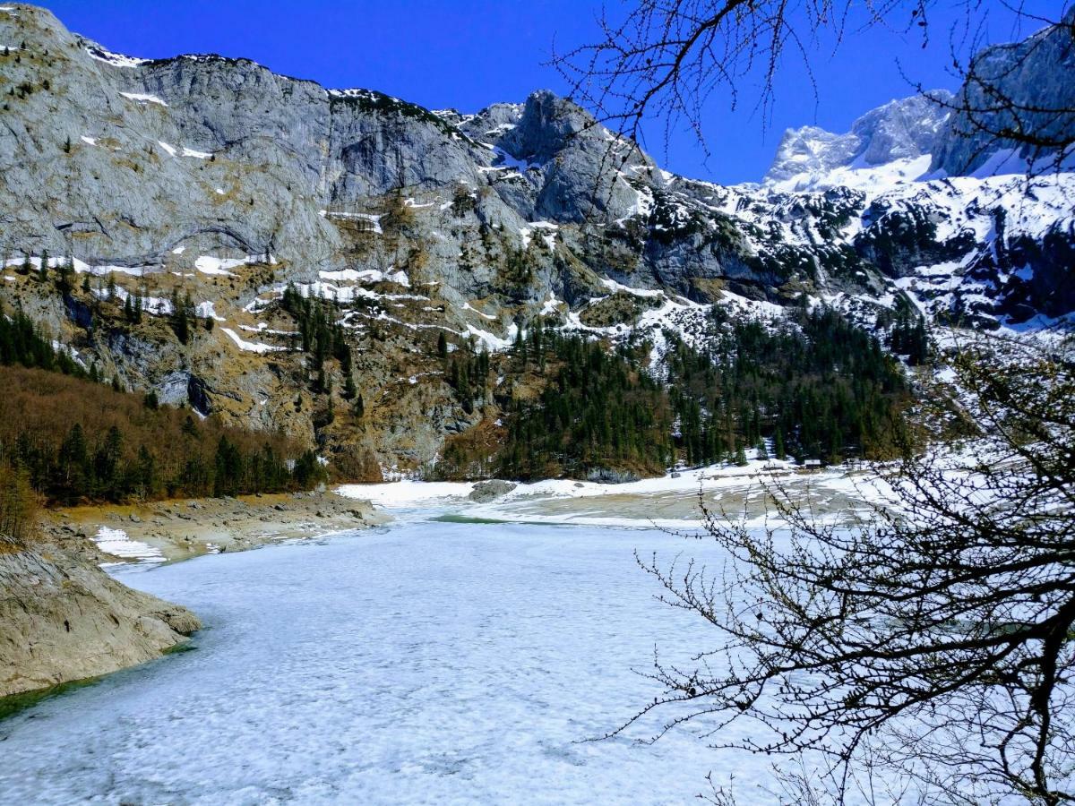 Pension Edelweiss Top 25 Гозау Экстерьер фото