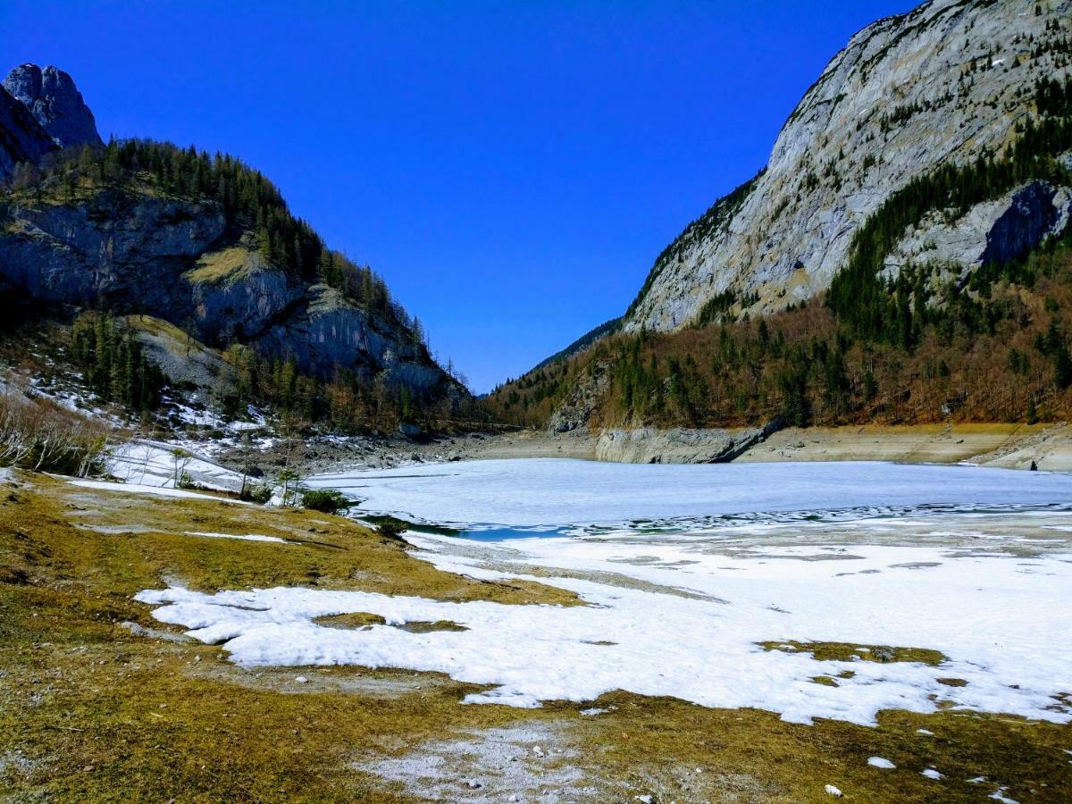 Pension Edelweiss Top 25 Гозау Экстерьер фото