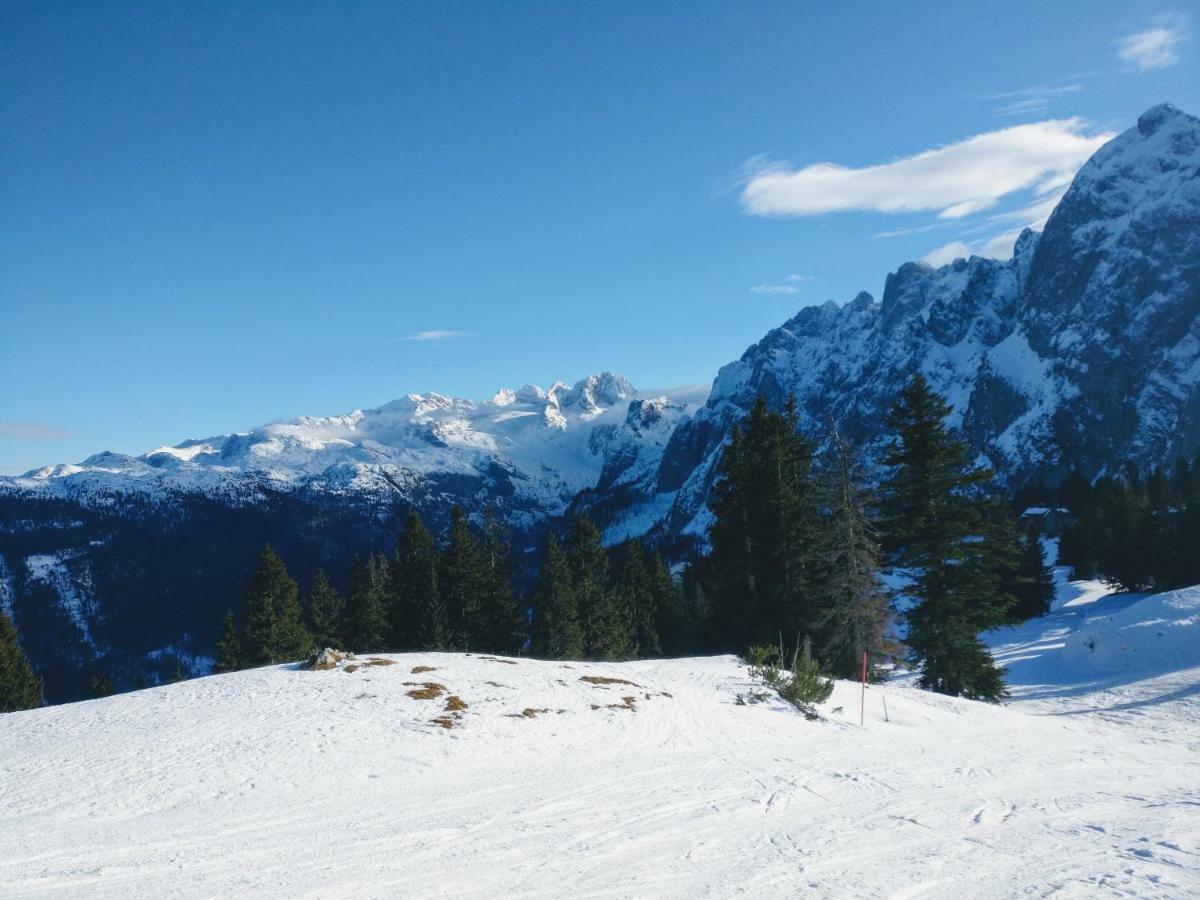 Pension Edelweiss Top 25 Гозау Экстерьер фото