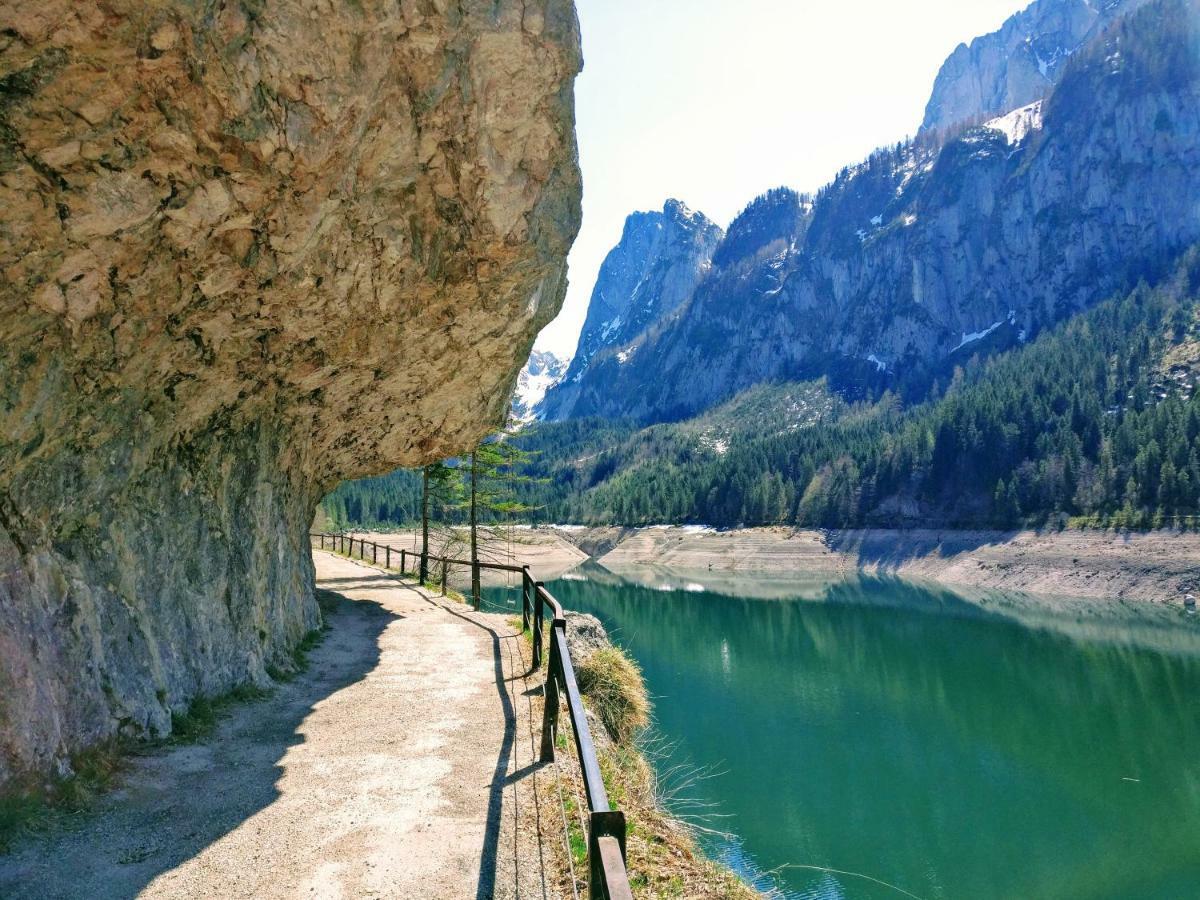 Pension Edelweiss Top 25 Гозау Экстерьер фото