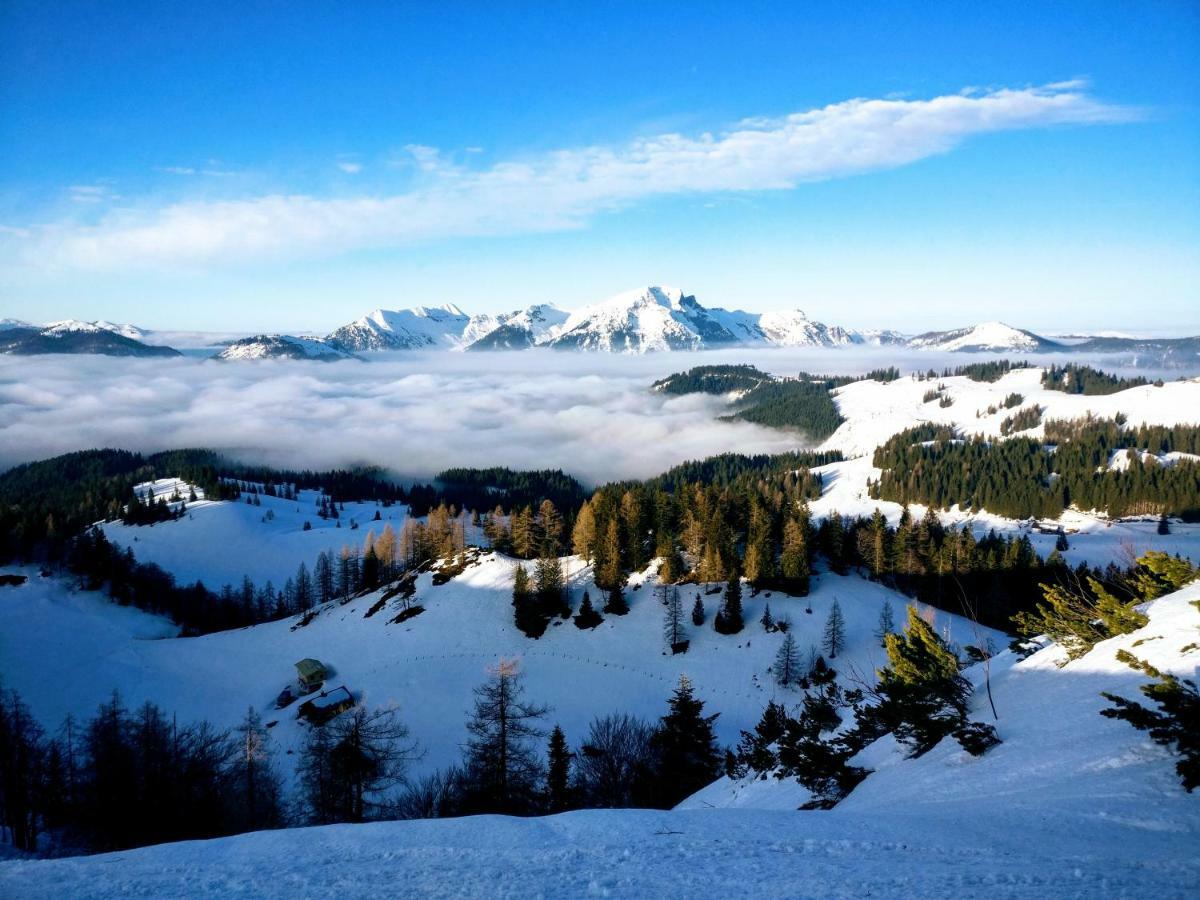 Pension Edelweiss Top 25 Гозау Экстерьер фото