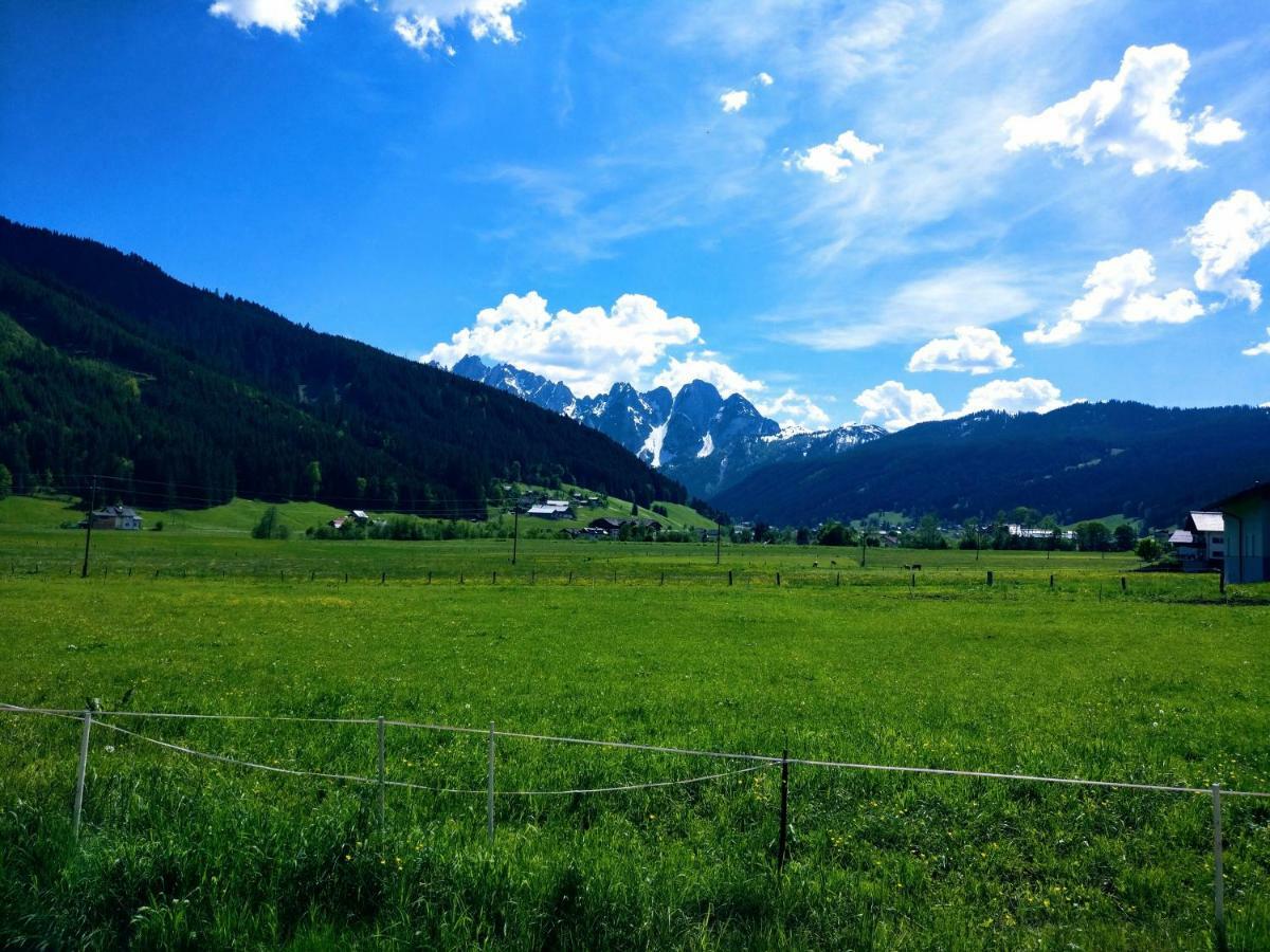 Pension Edelweiss Top 25 Гозау Экстерьер фото