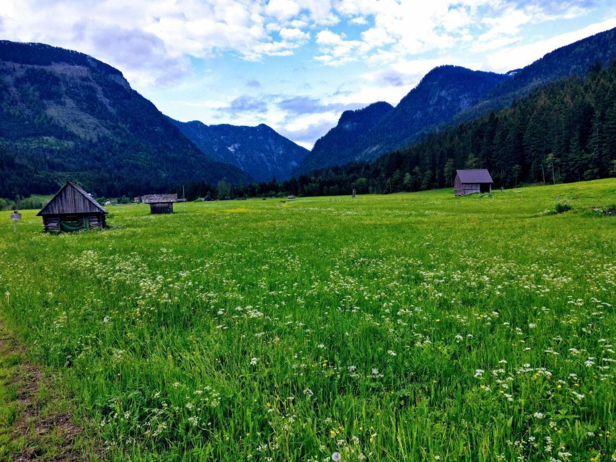 Pension Edelweiss Top 25 Гозау Экстерьер фото